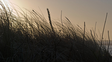 Romantik auf der Insel
