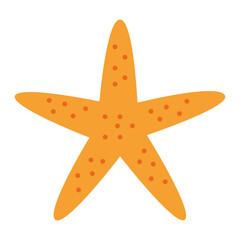 starfish animal beach icon vector illustration design