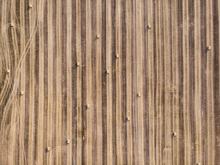 Bales of straw on harvest fields in Czech Republic, aerial view