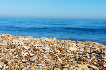 Sea stones and sea the coastline of seashells on a background of sea and blue