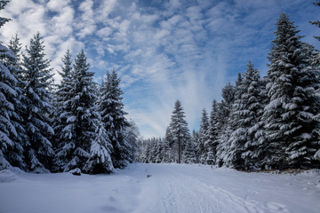 Winterlandschaft