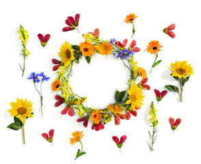 Wreath of summer wildflowers sunflowers, flowers calendula, linaria, blue cornflowers, red samaras maple ash on white background with space for text. Top view, flat lay