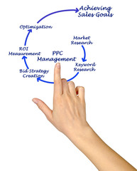 Pay Per Click Management.