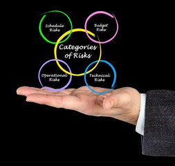 Categories of Risks