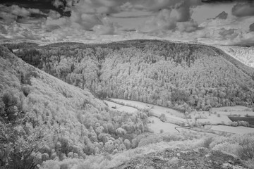 Landschaft in Infrarot - woodeffekt