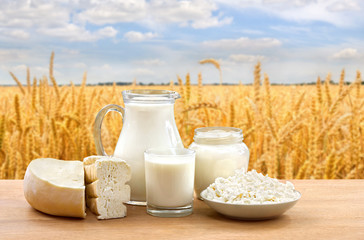 Milk, cheese, cottage cheese and sour cream on wooden table on a background field wheat and blue sky