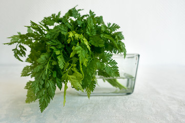 Fresh Chervil Parsley Bunch