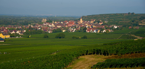 Blick auf Burkheim im Kaiserstuhl