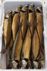 Fresh smoked mackerel