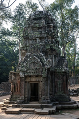 Kambodscha - Angkor - Ta Prohm