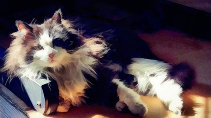 Acrylic painting on canvas art poster. Modern style fashion artwork. Contemporary digital big size print in high resolution. Surreal animals in bright design. Graphic fantasy drawing. Faithful dog.