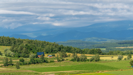 Fototapeta na wymiar Panoramic view of Patchwork road in Biei with mountain range in background