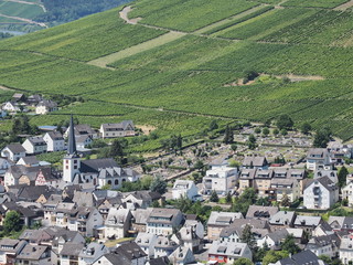 Fototapeta na wymiar Burgruine Landshut über Bernkastel-Kues mit Blick auf die Mosel