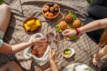 Picnic with burgers, corn, brownie, fruits and lemonade on green lawn. Outdoor summer picnic on the...