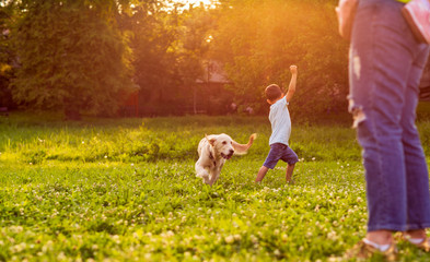 Beautiful happy family is having fun with golden retriever - Boy playing with dog in park.