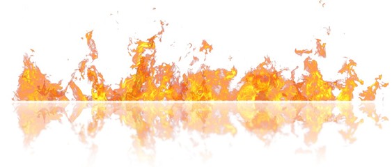 Fototapeta premium Real line of fire flames with reflection isolated on white background. Mockup on white of wall of fire.