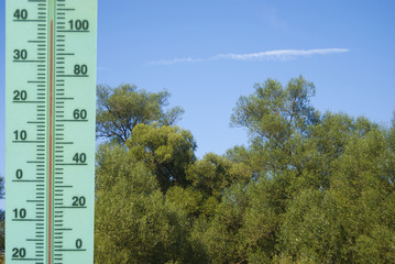 A thermometer with a temperature of +40 degrees Celsius on a landscape with trees. Heat.