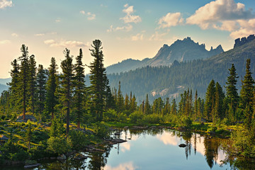 Beautiful sunny landscape of summer picturesque mountain lake with spruces