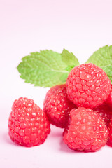 Raw ripe raspberries with fresh green mint leaf isolated on pink pastel background.