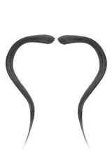 Thin black mustache, isolated on white background