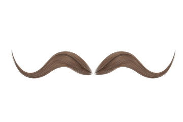 Brown mustache isolated on white background