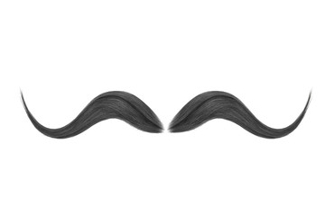 Black mustache isolated on white background
