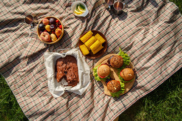 Picnic with burgers, corn, brownie, fruits and lemonade on green lawn. Outdoor summer picnic on the green grass at the sunny day. © geshas