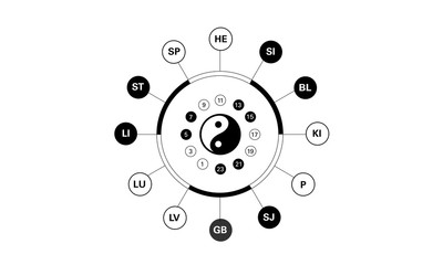 Condensed Circadian clock of the main meridians of the body according to Chinese medicine - 24 hours