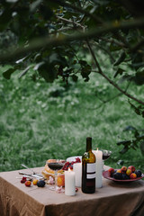 candles, wine bottle and fruits on table in garden for dinner