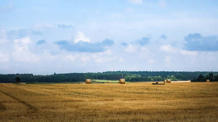 Fototapeta na wymiar Beautiful open landscape. Hay bales scattered on a farmer's field. Sweden