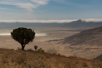 Ngorogoro-Krater - Savanne - Tansania © EinBlick