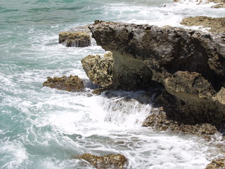 Fototapeta premium OLYMPUS DIGITAL CAMERA