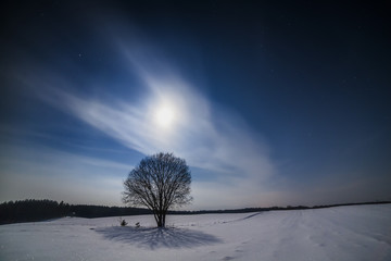 Fairy winter night in a valley with full moon in a starry sky. Lonely tree.