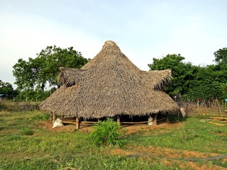 Fototapeta na wymiar traditional bamboo hut in Auroville
