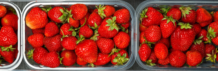 Close up of fresh red ripe strawberries in transparent plastic container boxes