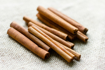 cinnamon sticks on grey background