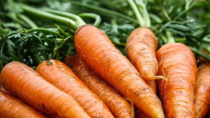 Close-up of bundle of carrots on a rustic wooden table. Concept for fresh vegetarian, organic raw food and harvest.