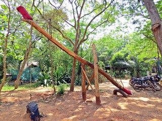 giant seesaw in Auroville