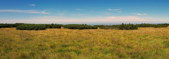 Górska równina w polskich górach, paśmie Sudetów - Karkonoszach © Konrad_elx