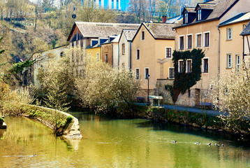 Alzette river at springtime. Luxembourg city