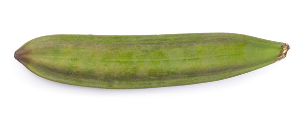 Oroxylum indicum, Eating and medicinal properties tree pod isolated on white background