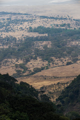 Vorland vor den Usambarabergen - Tansania
