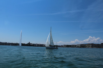 Fototapeta premium voilier sur le lac léman à genève en suiise