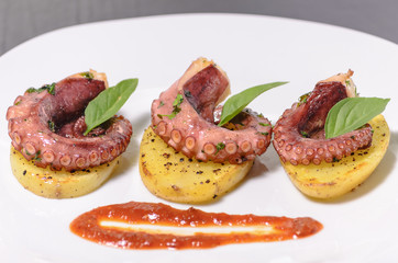Platillo gourmet de pulpo con especias en una cama de patatas y salsa picante, en un plato blanco con mantel, platillo mexicano del mar