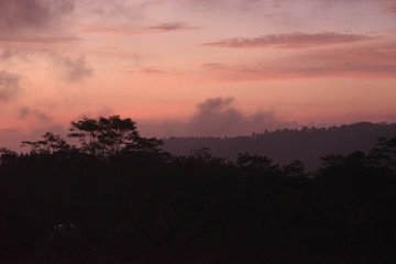 Pink Misty Jungle Skyscape