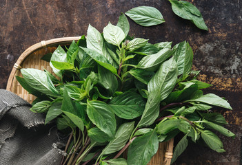 Vietnamese basil on rustic background