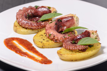 Platillo gourmet de pulpo con especias en una cama de patatas y salsa picante, en un plato blanco con mantel, platillo mexicano del mar