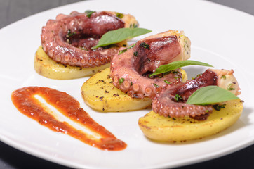 Platillo gourmet de pulpo con especias en una cama de patatas y salsa picante, en un plato blanco con mantel, platillo mexicano del mar