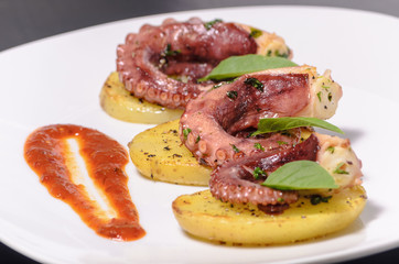 Platillo gourmet de pulpo con especias en una cama de patatas y salsa picante, en un plato blanco con mantel, platillo mexicano del mar