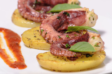 Platillo gourmet de pulpo con especias en una cama de patatas y salsa picante, en un plato blanco con mantel, platillo mexicano del mar
